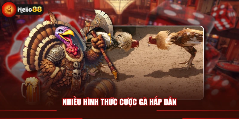 Nhiều hình thức cược gà hấp dẫn